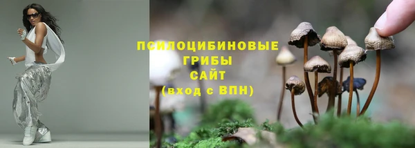 a pvp Кинешма