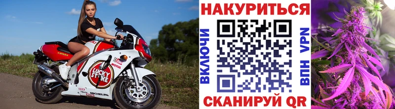 Купить  Лесозаводск  Каннабис сатива 